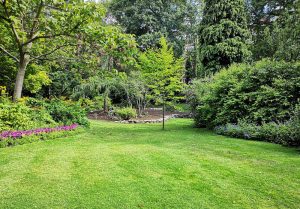 Optimiser l'expérience du jardin à Gevrolles