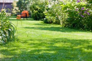 travaux jardin et paysage Gevrolles